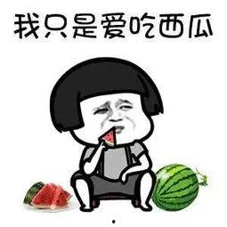 娱乐你我他吃瓜官网,揭秘吃瓜官网背后的精彩故事